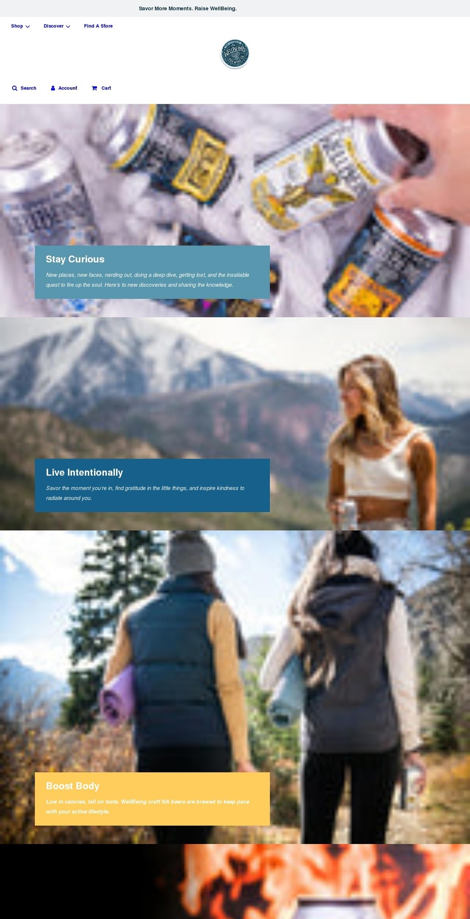 wellbeingbrewing.com shopify website screenshot