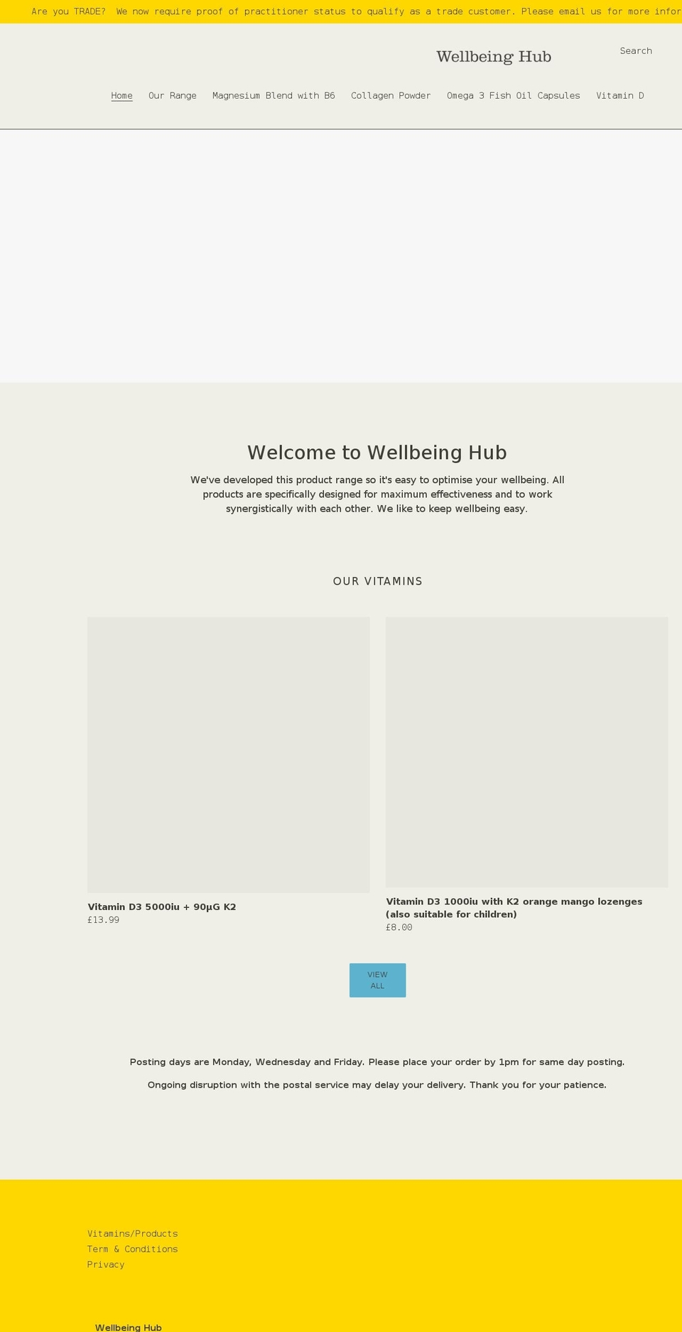 wellbeinghub.shop shopify website screenshot