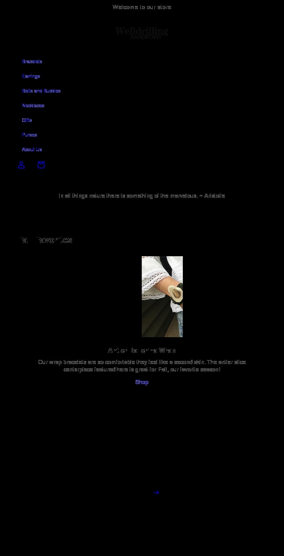 welldrillingsandpoint.com shopify website screenshot