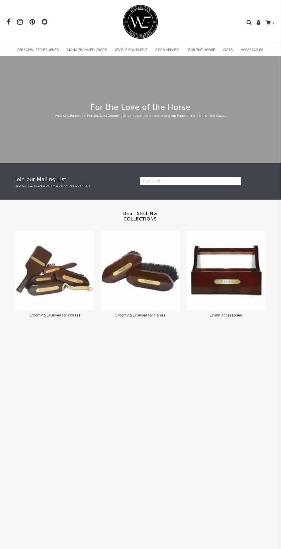 wellesleyequestrian.com shopify website screenshot