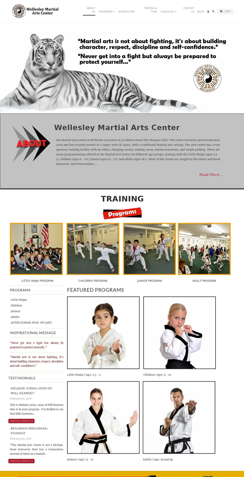 wellesleymartialartscenter.com shopify website screenshot