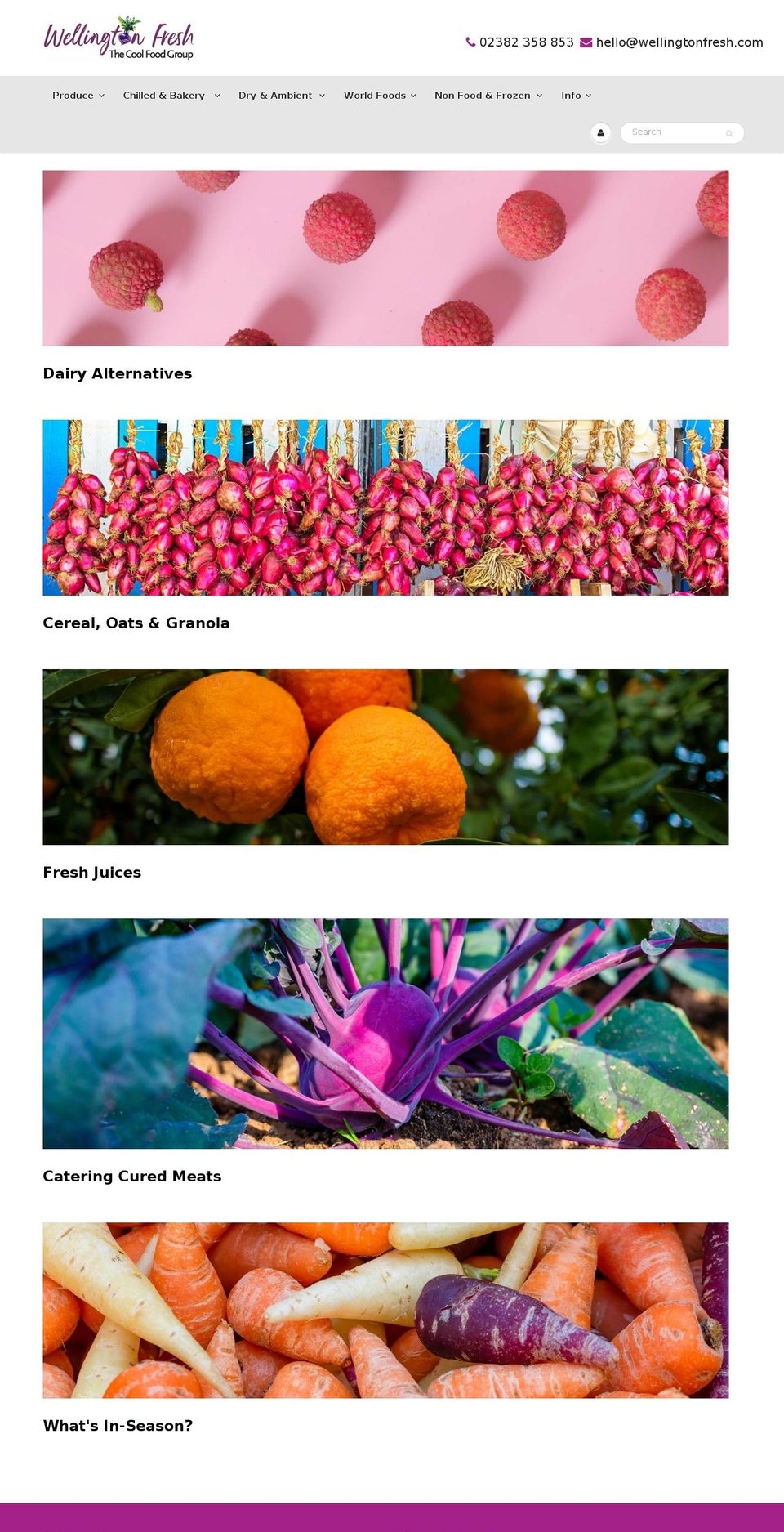 wellingtonfresh.com shopify website screenshot
