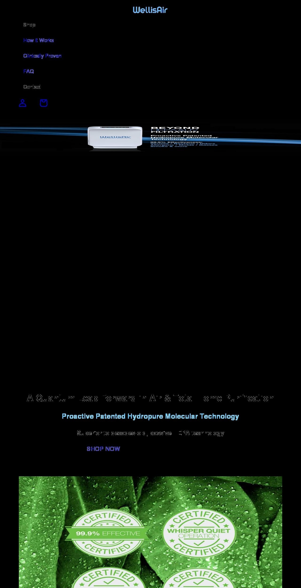 wellisairdisinfection.com shopify website screenshot