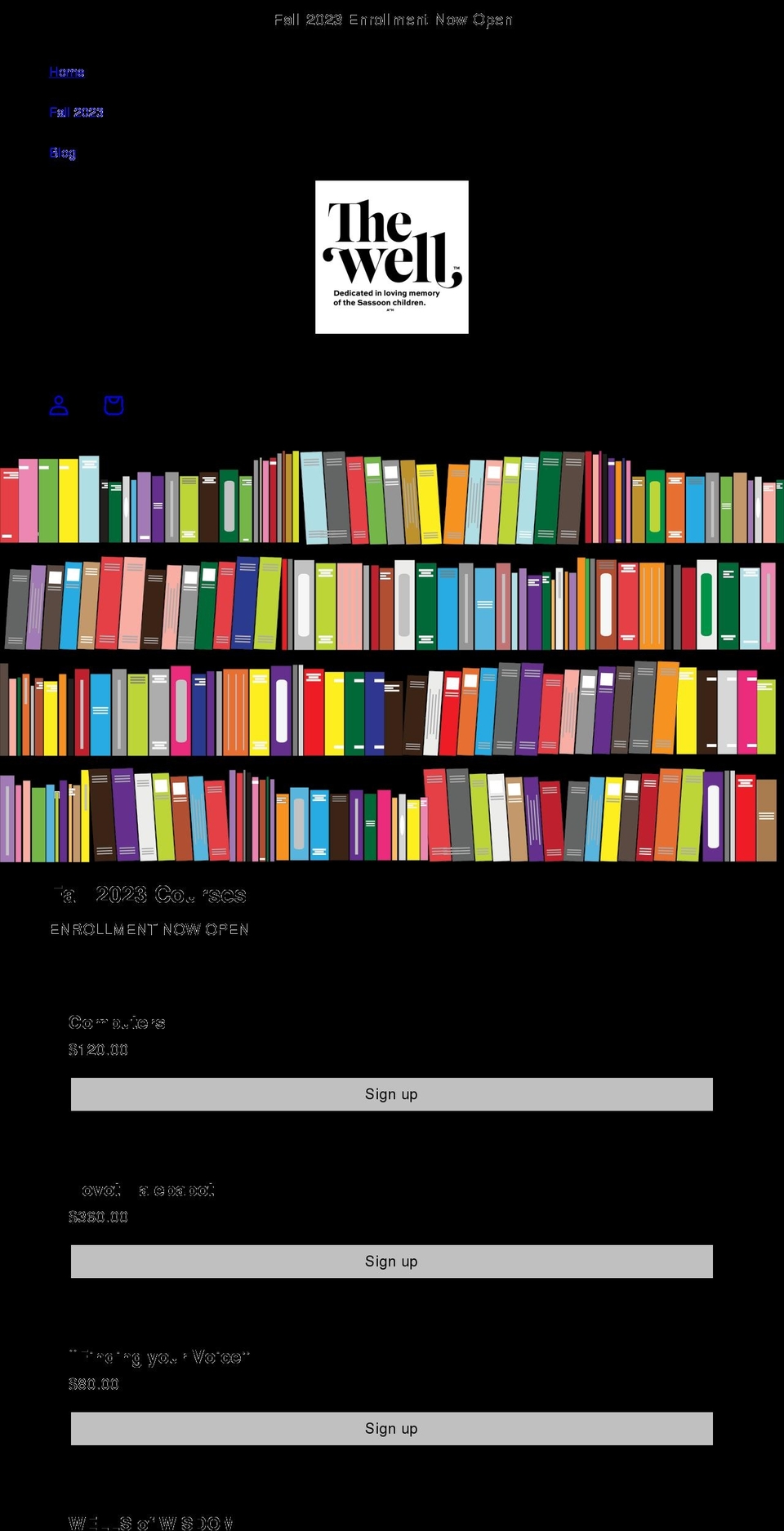 wellny.org shopify website screenshot