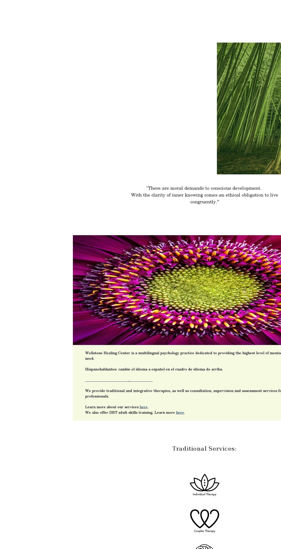 wellstonehealingcenter.org shopify website screenshot