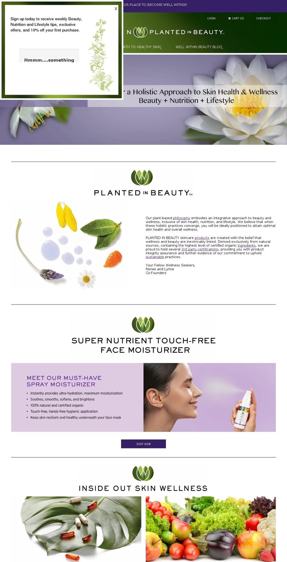 wellwithinbeauty.com shopify website screenshot