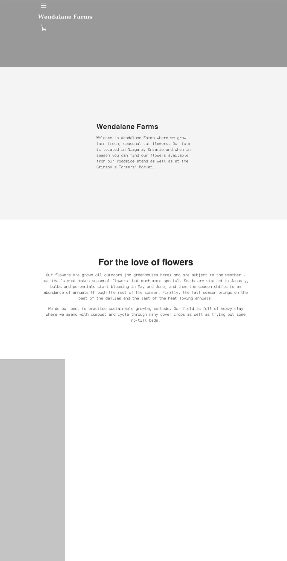 wendalane.com shopify website screenshot