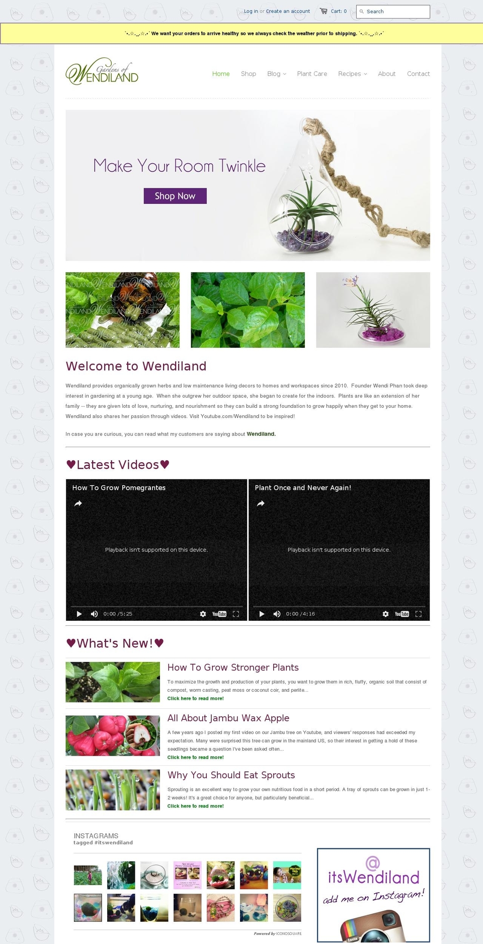 wendiland.com shopify website screenshot