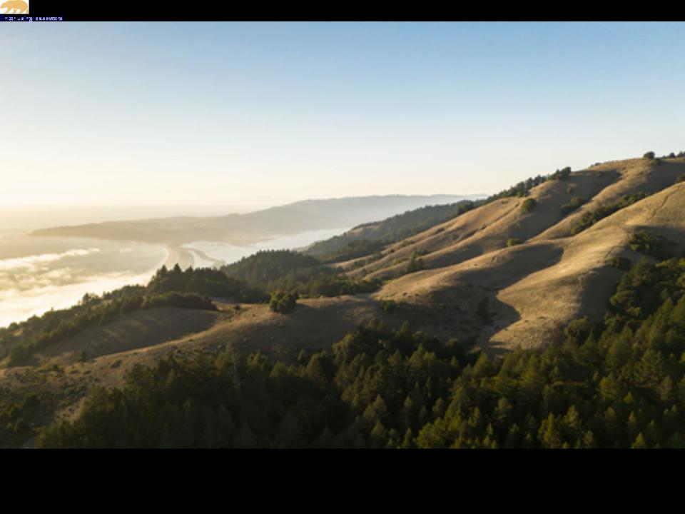westthreads.com shopify website screenshot
