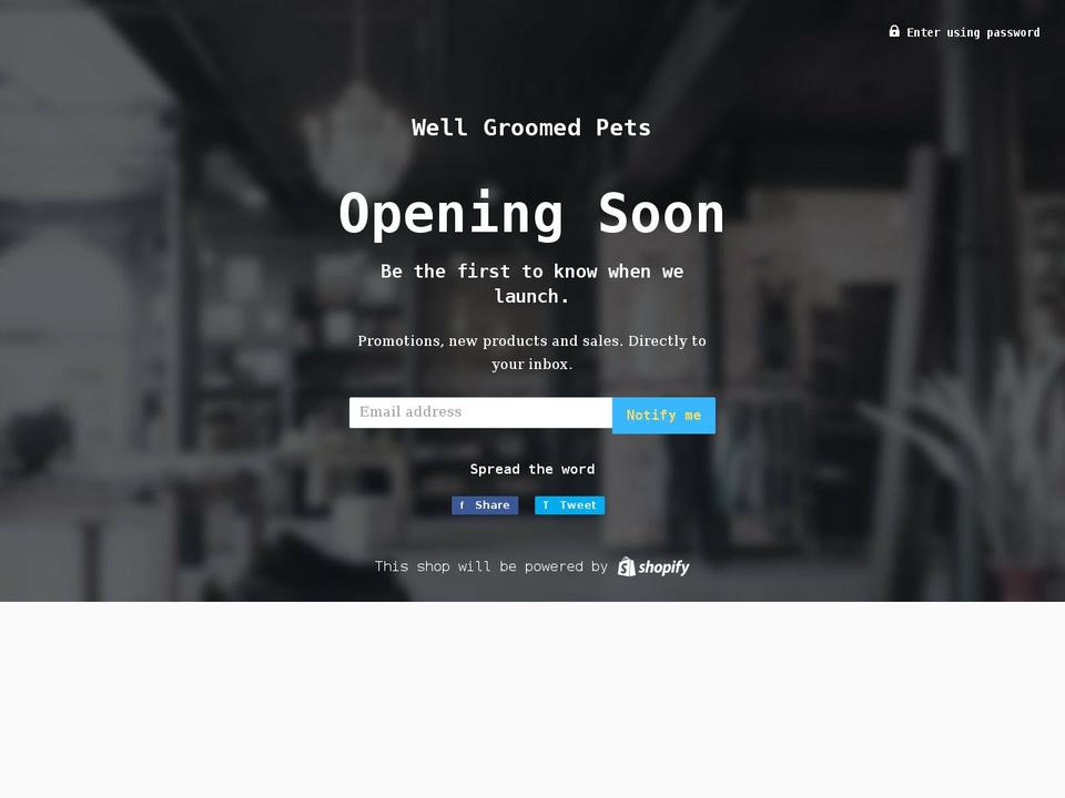 wgpstore.com shopify website screenshot