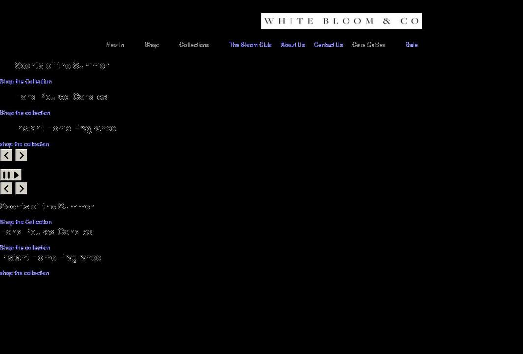 whitebloomandco.co.uk shopify website screenshot