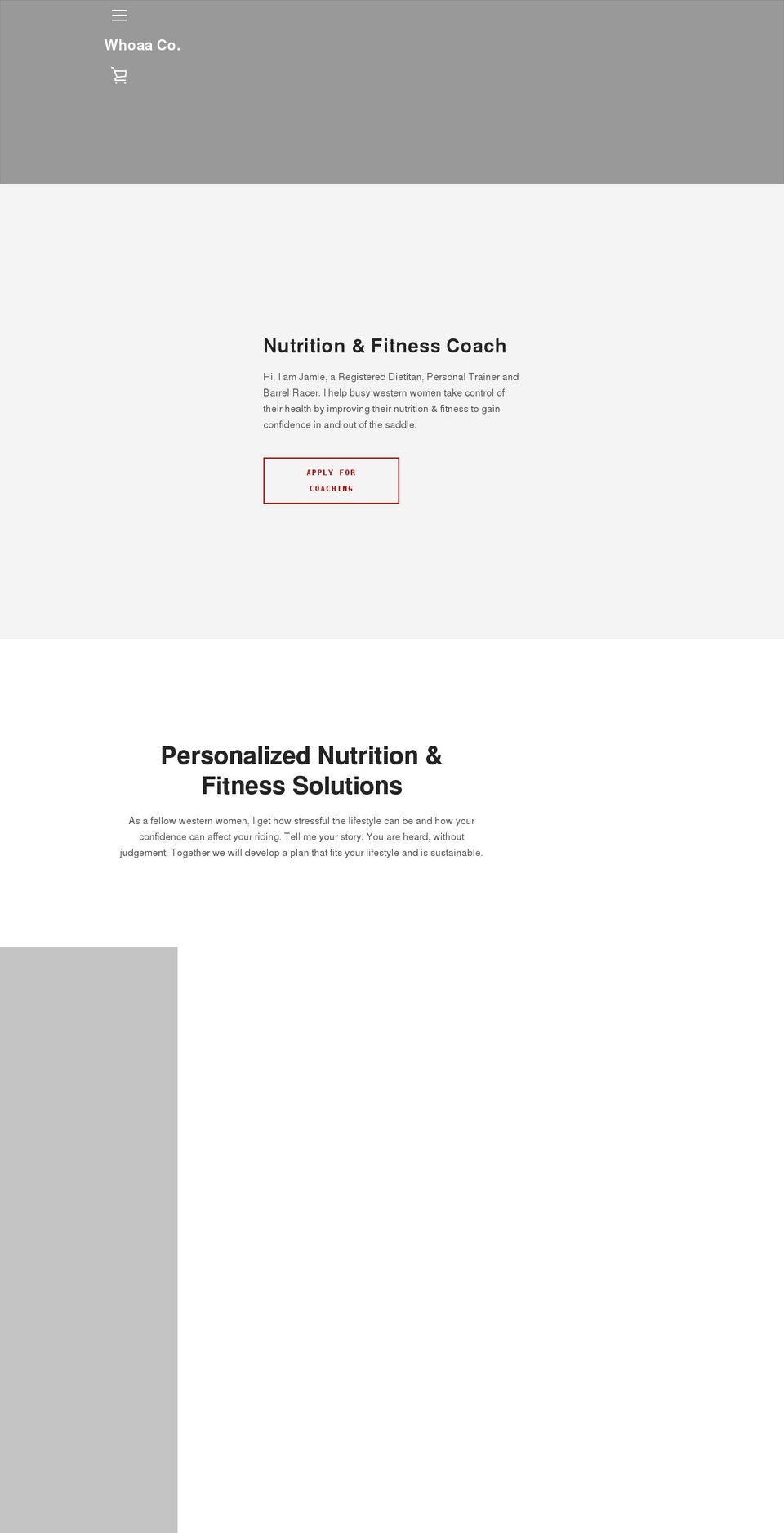 whoaa-co.com shopify website screenshot
