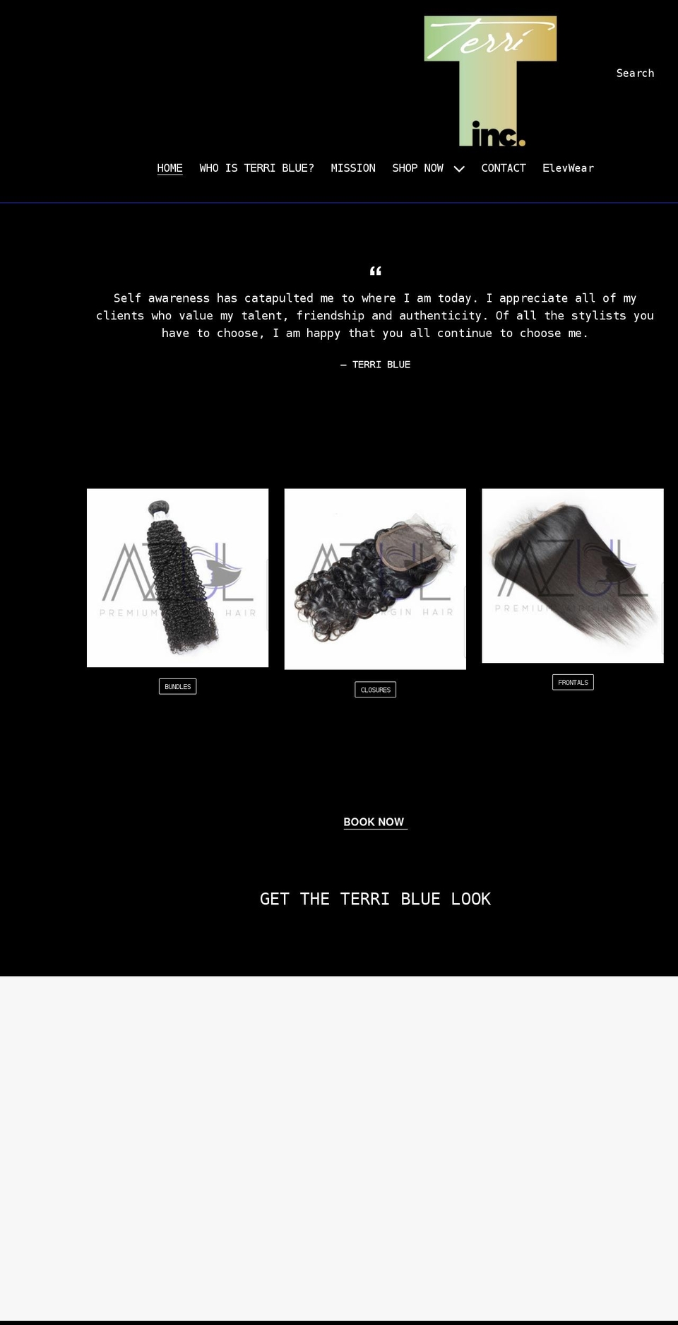 whoisterriblue.com shopify website screenshot