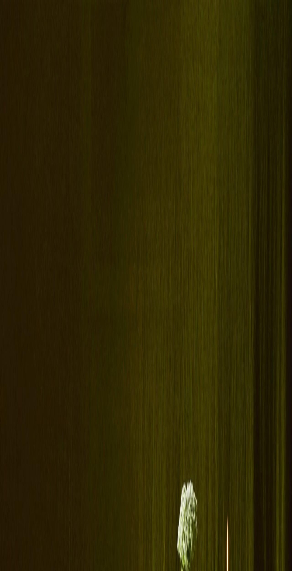 wholesale-rewined.com shopify website screenshot
