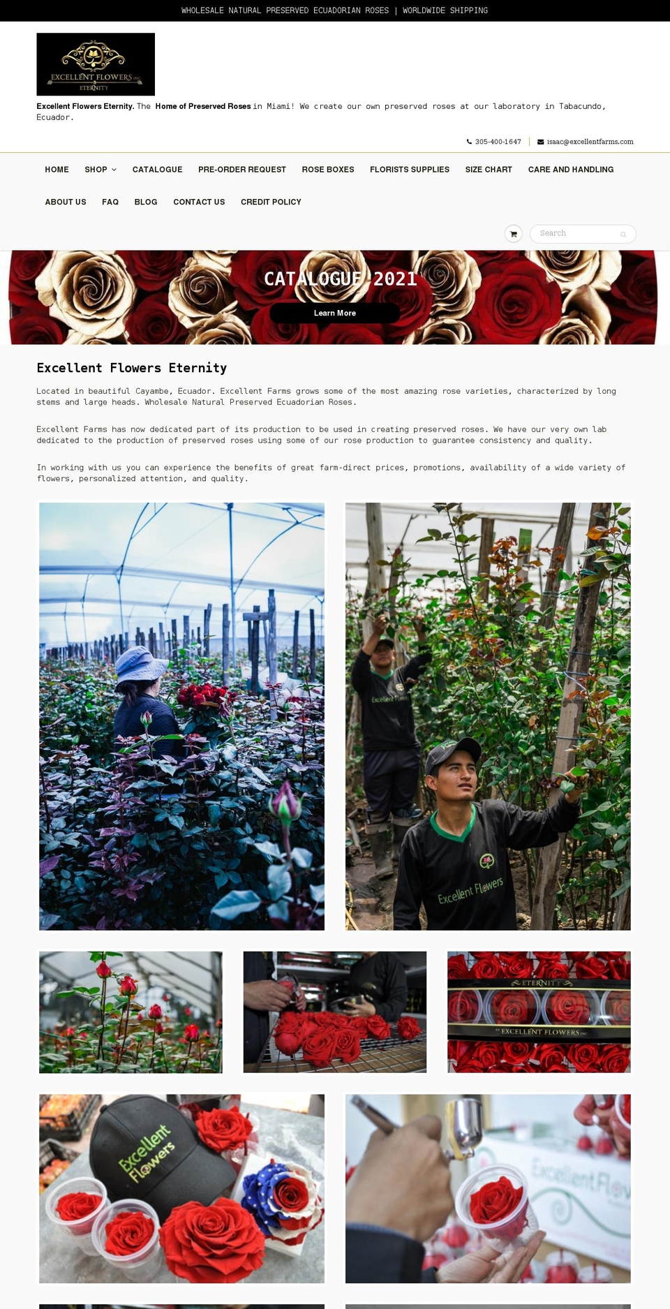 wholesalepreservedroses.com shopify website screenshot
