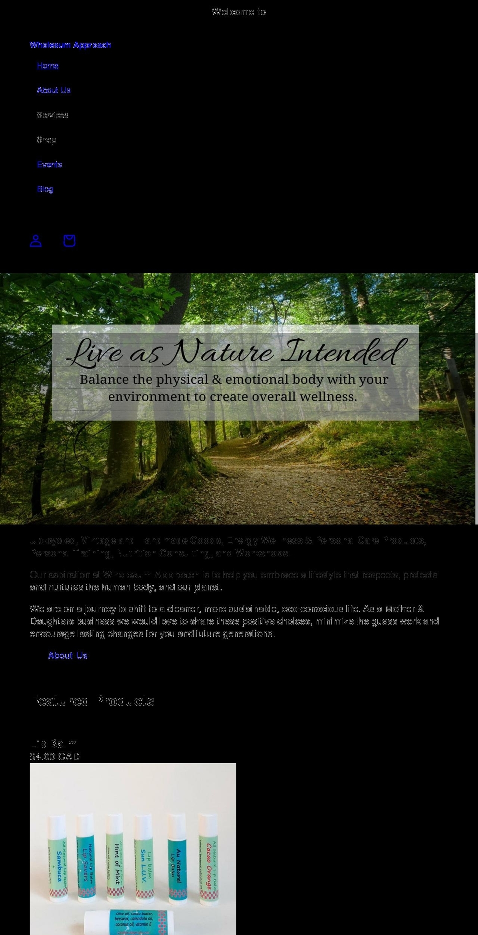 wholesumapproach.com shopify website screenshot