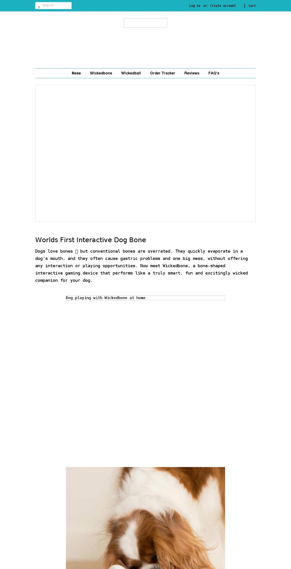 wicked-bone.com shopify website screenshot