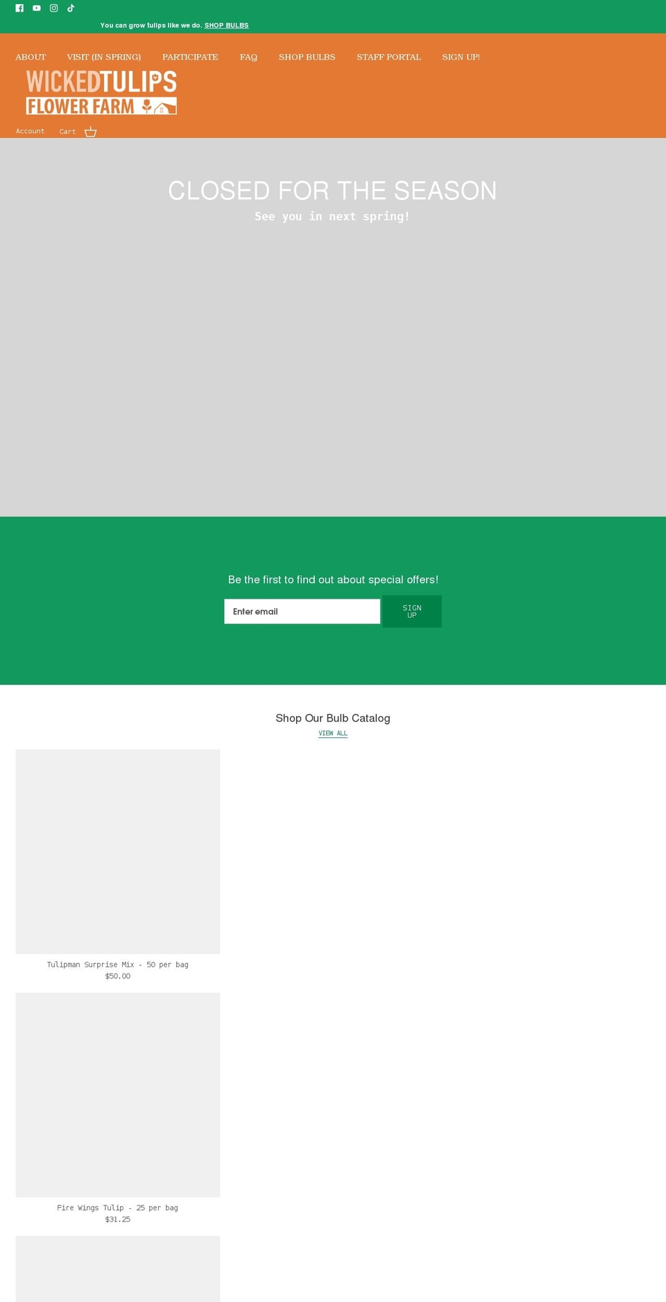 wickedtulips.com shopify website screenshot
