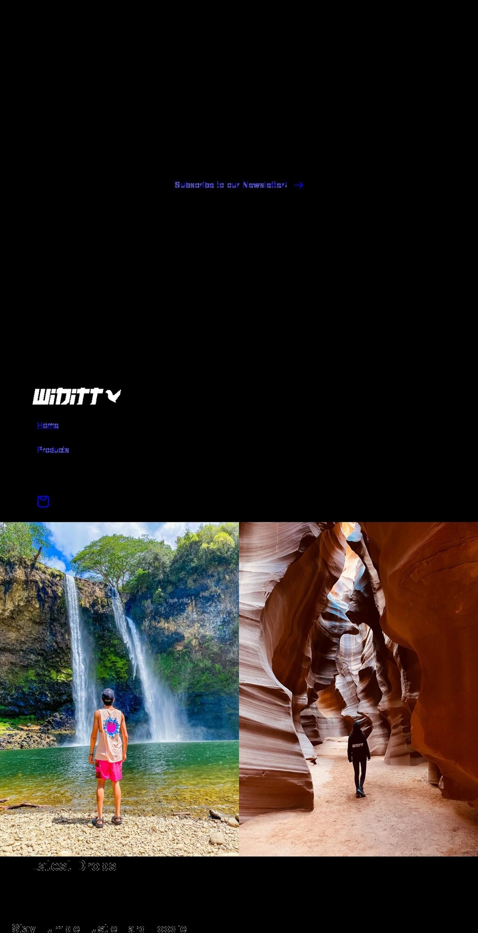 widitt.com shopify website screenshot