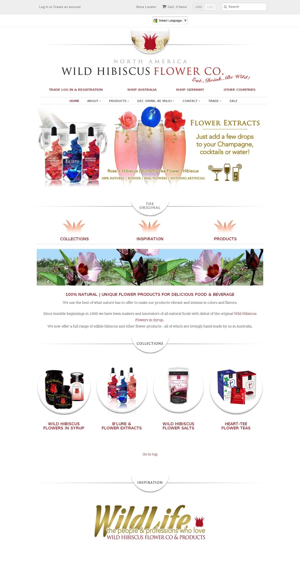 Wild Hibiscus TO\/SAW Discounts 22\/09\/15 Shopify theme site example wild-hibiscus.com