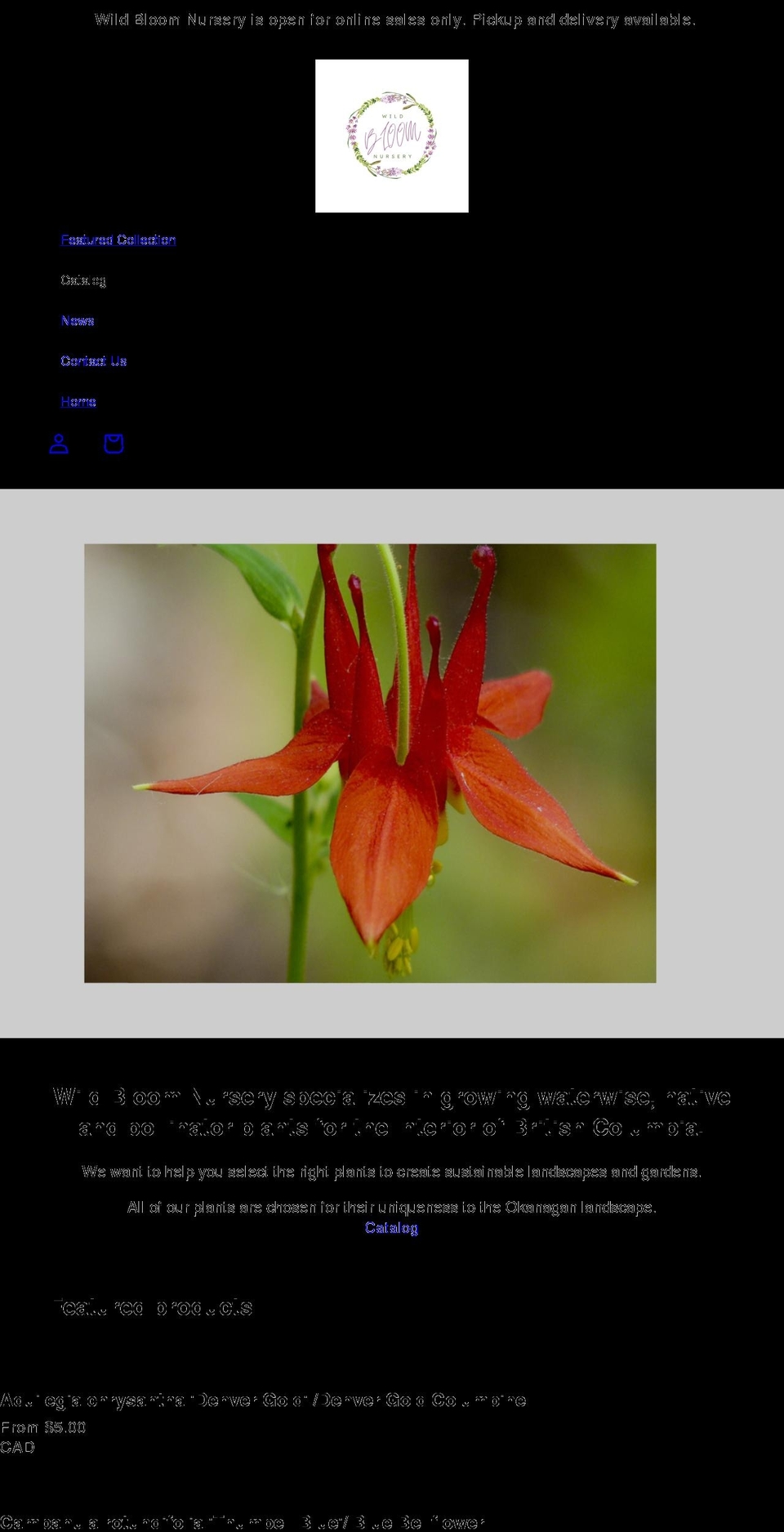 wildbloomnursery.com shopify website screenshot