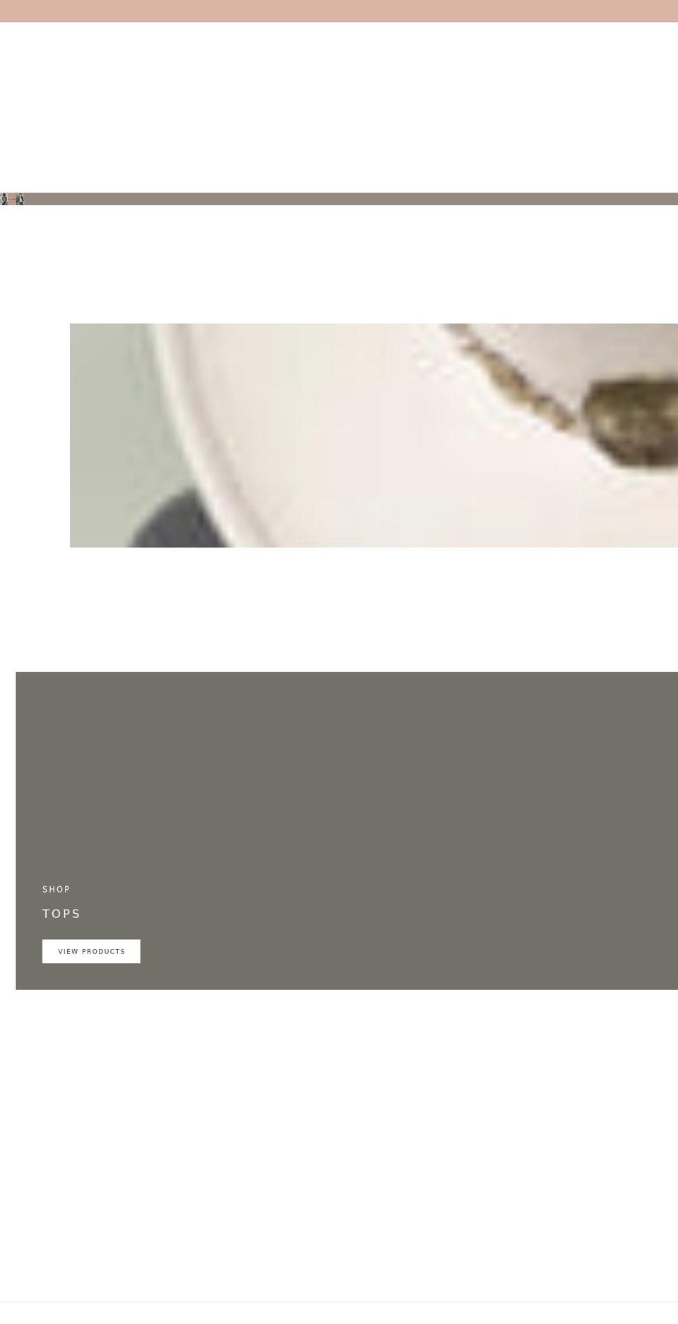 wilddreamer.com shopify website screenshot