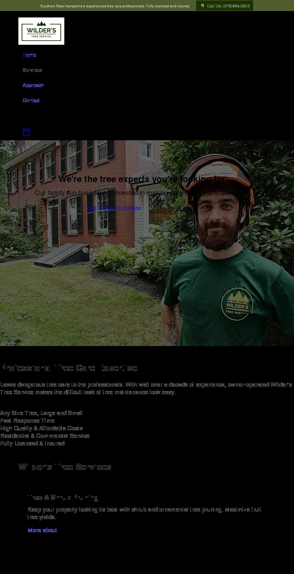 wilderstreeservice.com shopify website screenshot