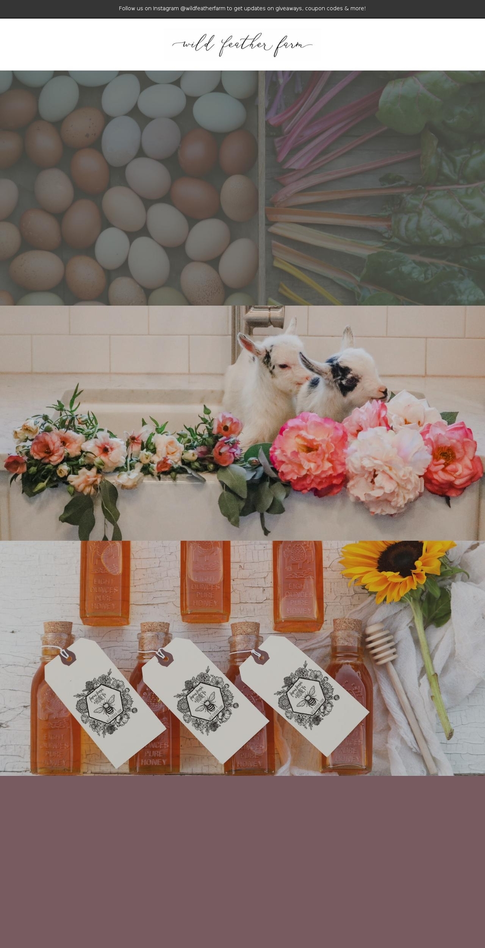 wildfeatherfarmtx.com shopify website screenshot
