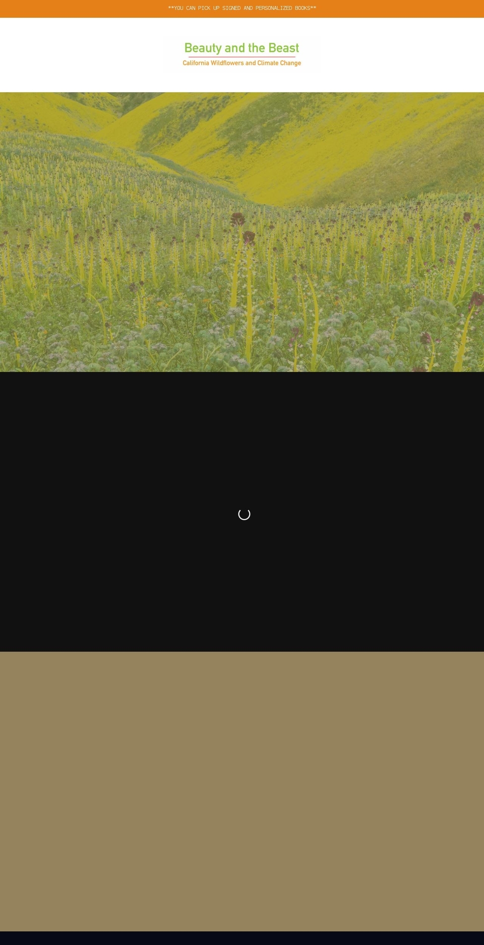 wildflowerbooks.com shopify website screenshot