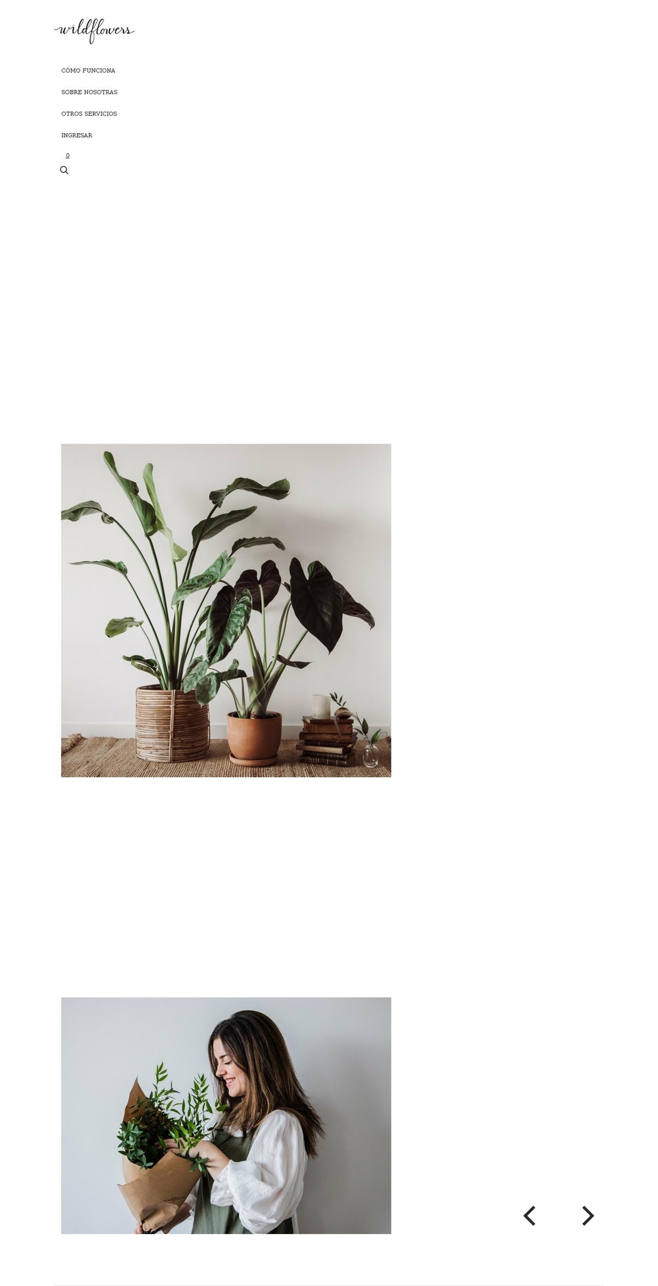 wildflowers.es shopify website screenshot