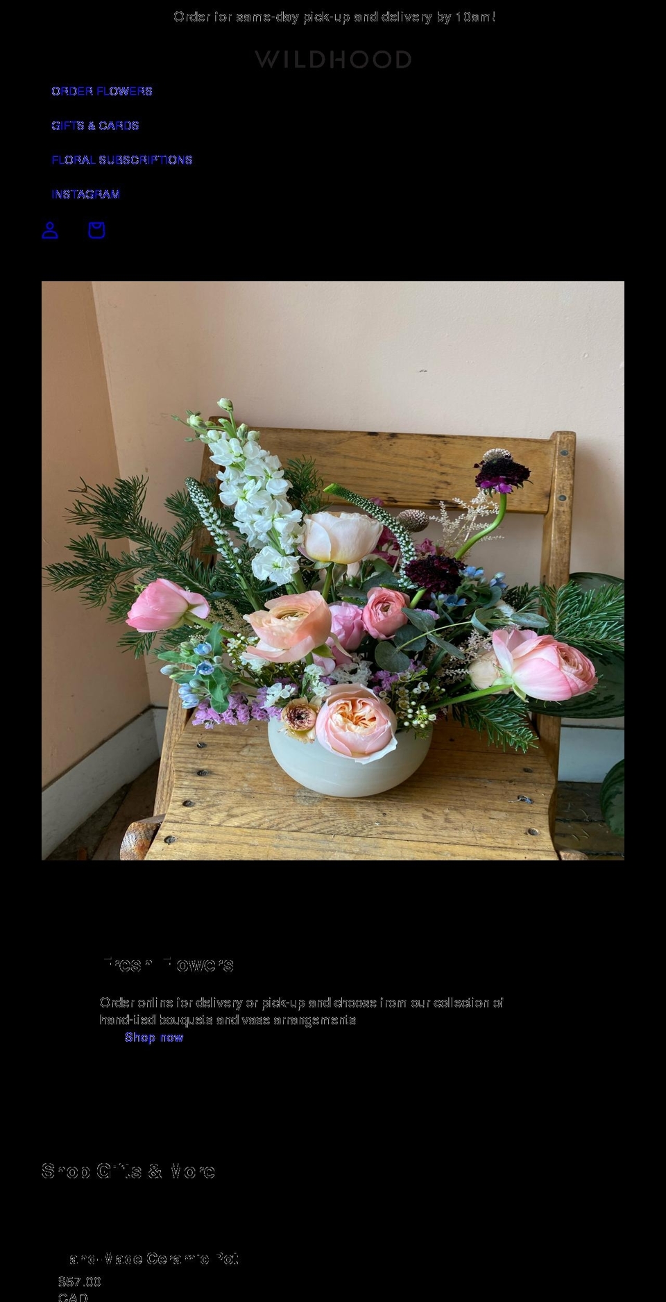 wildhoodto.com shopify website screenshot