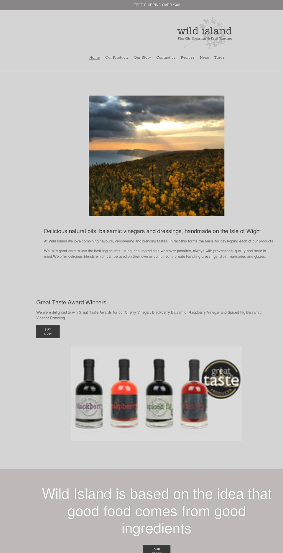 wildislandstore.co.uk shopify website screenshot