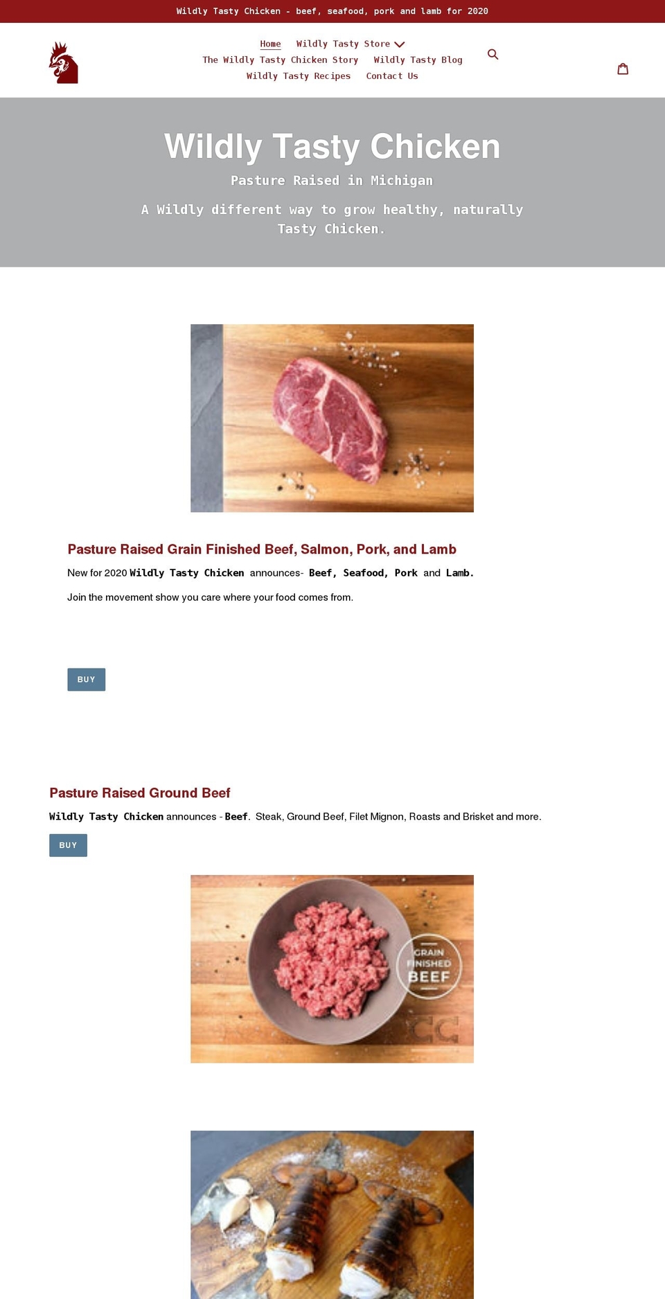 wildlytastychicken.com shopify website screenshot