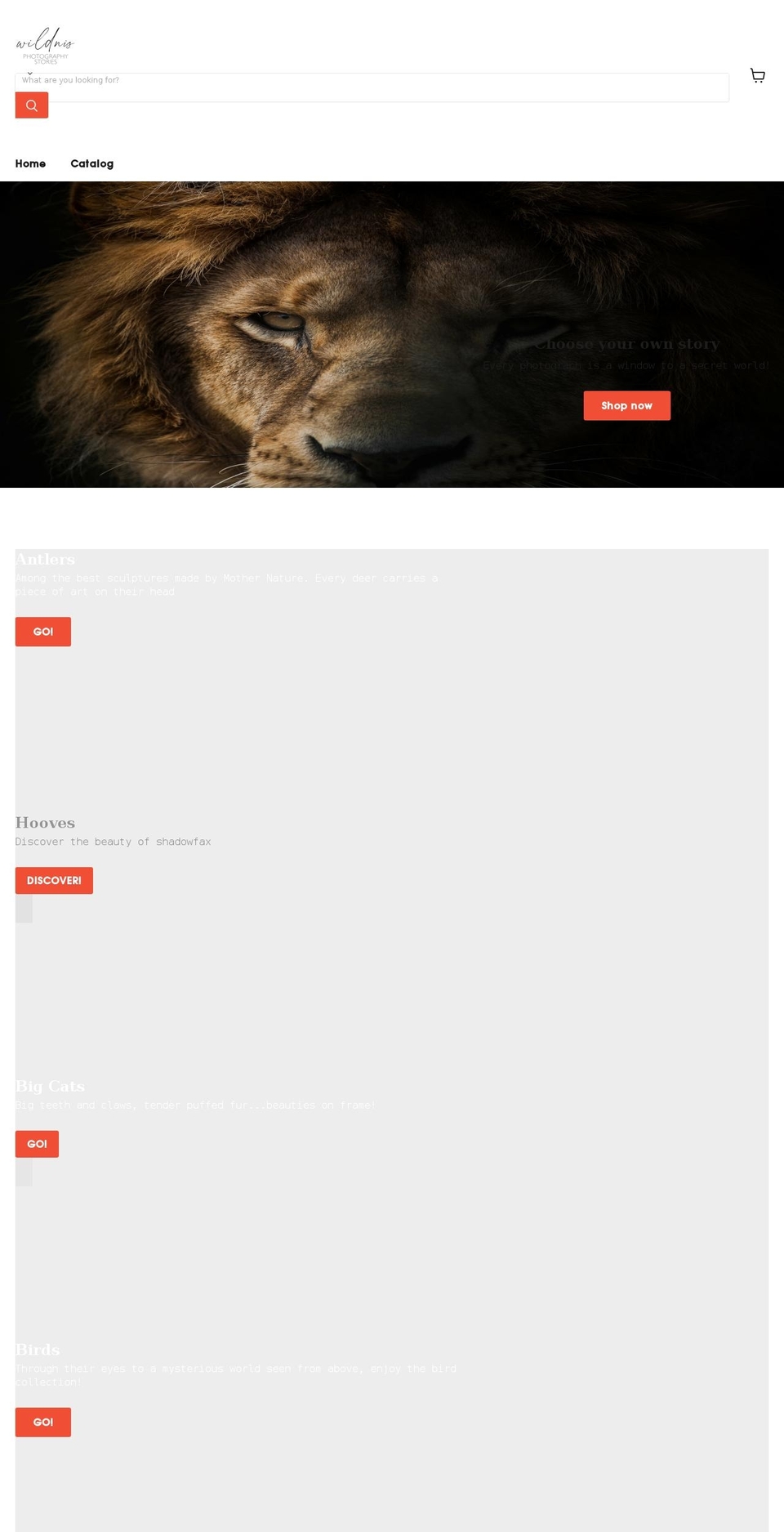 wildnisphotography.com shopify website screenshot