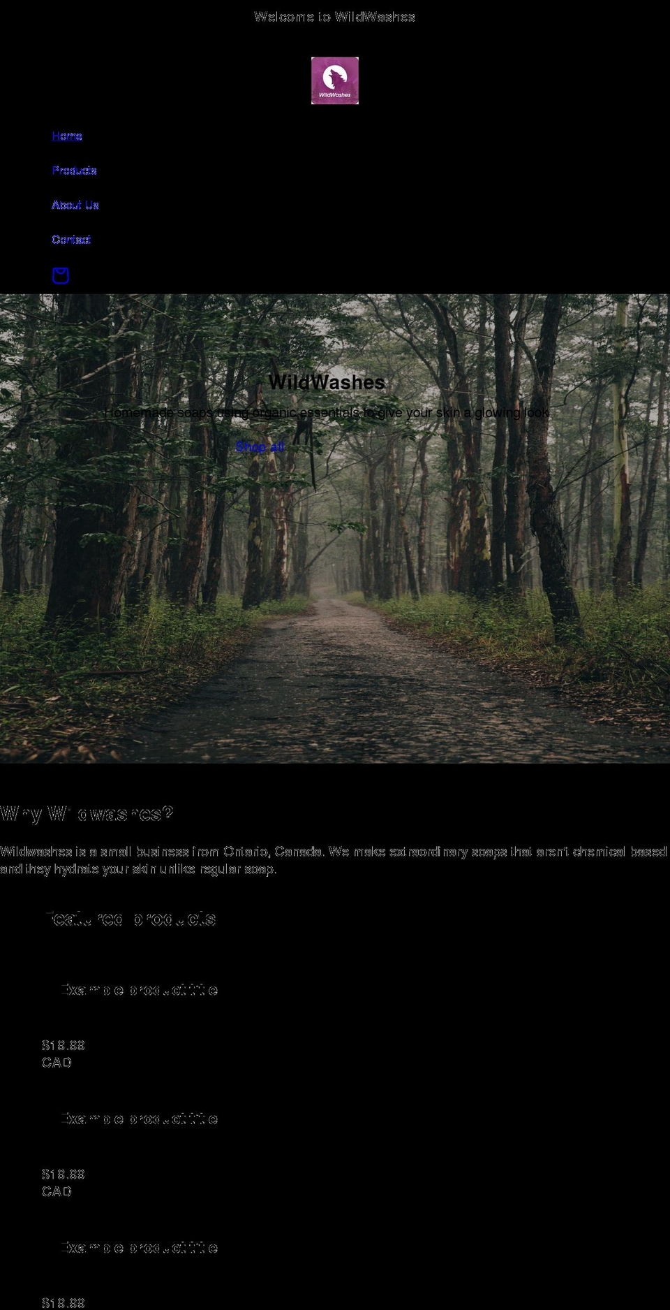 wildwashes.com shopify website screenshot