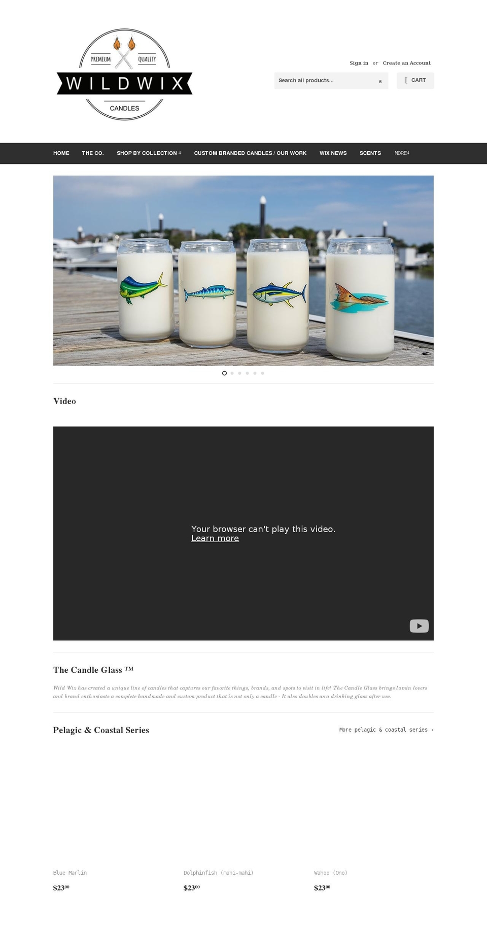 wildwix.com shopify website screenshot