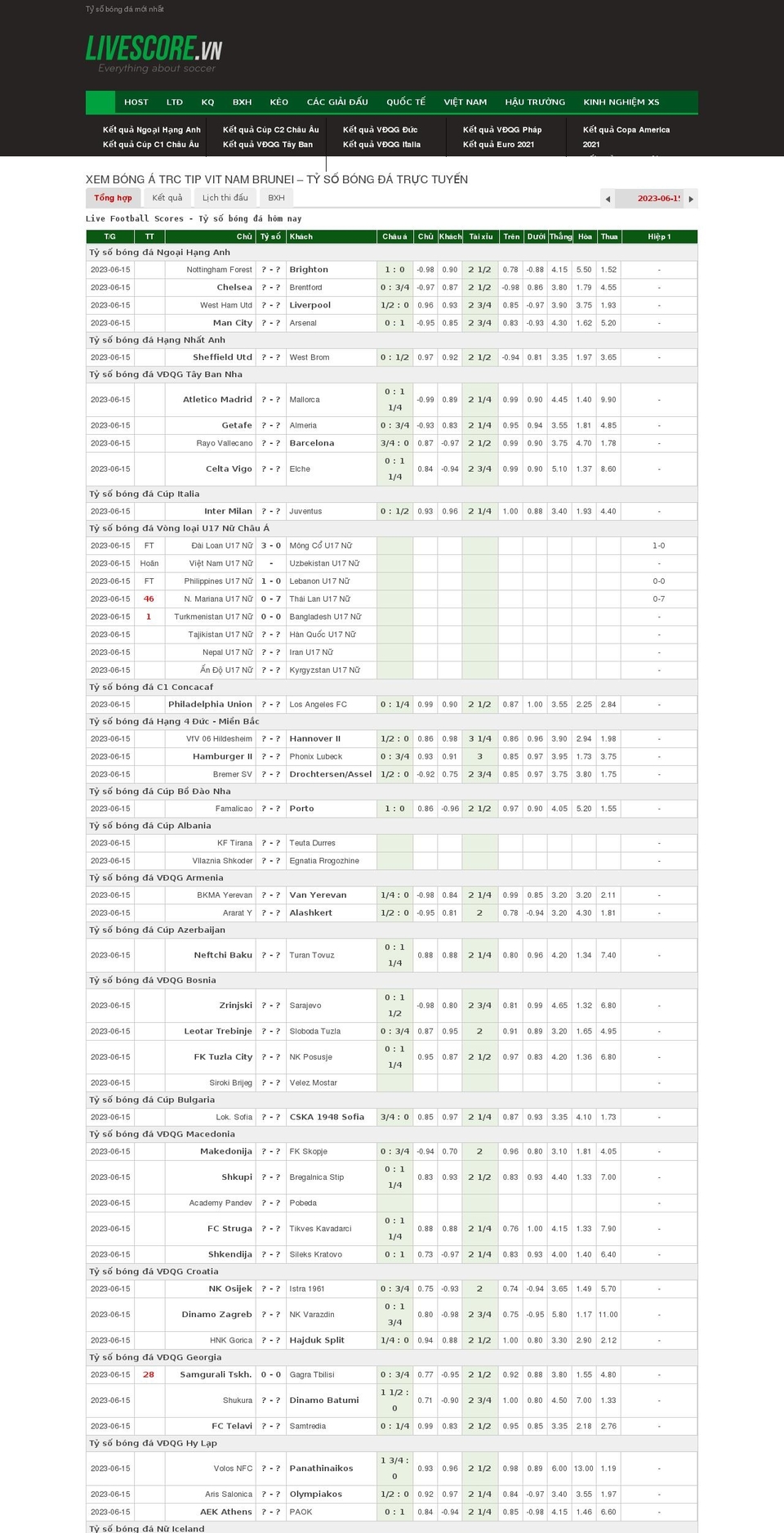 wildybikini.com shopify website screenshot