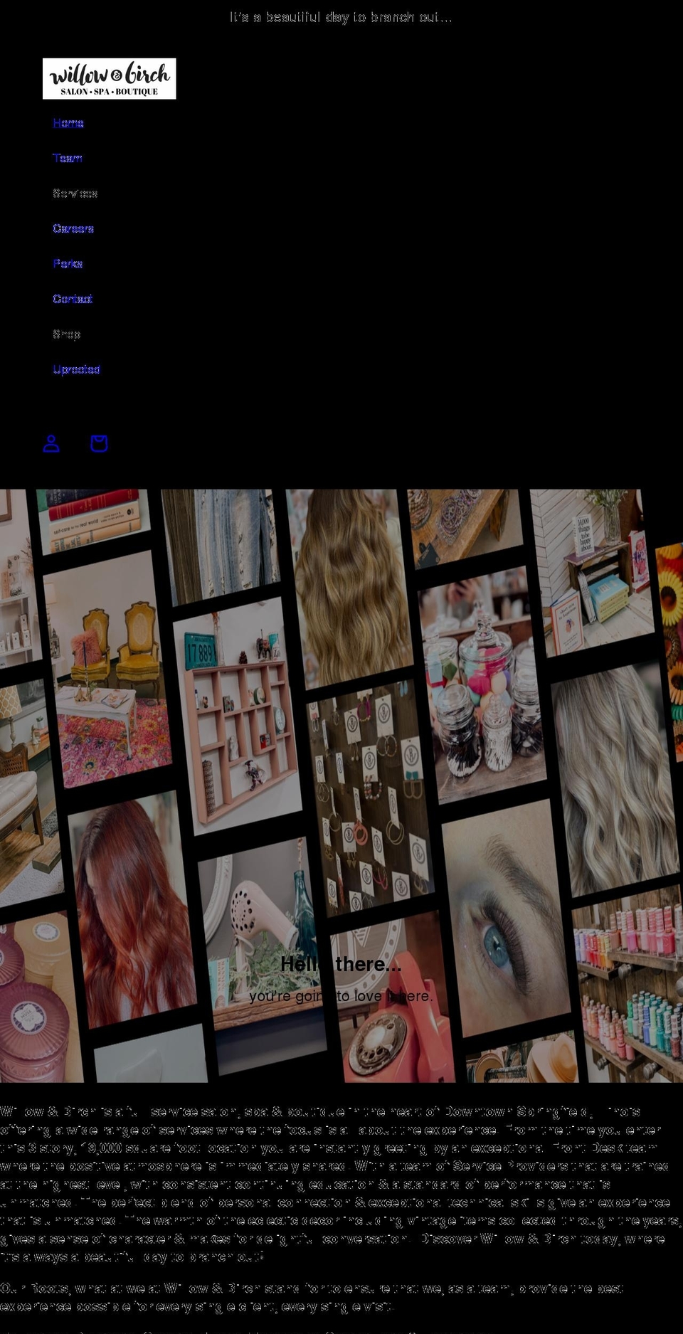 willowandbirchsalon.com shopify website screenshot
