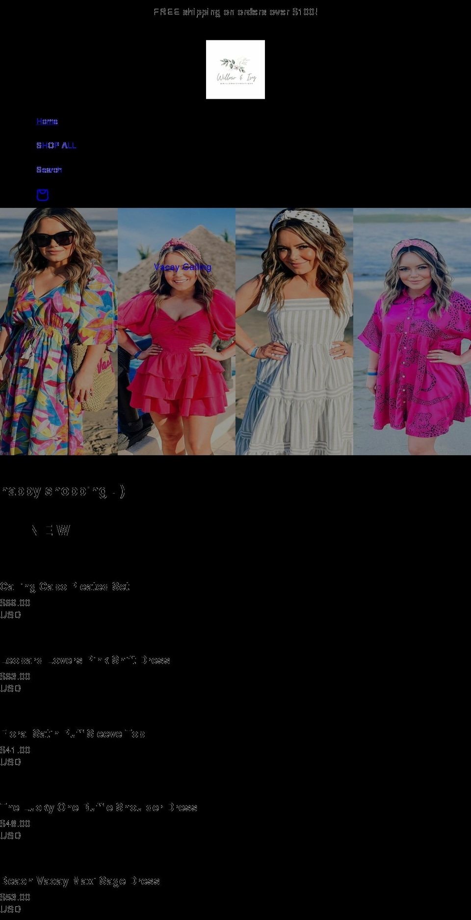 willowandivyboutique.com shopify website screenshot