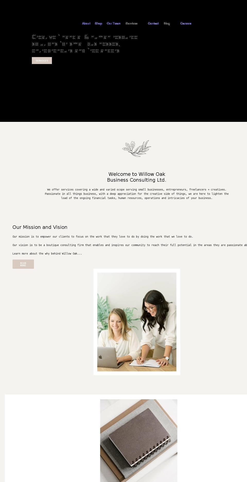 willowoakbusinessconsulting.com shopify website screenshot