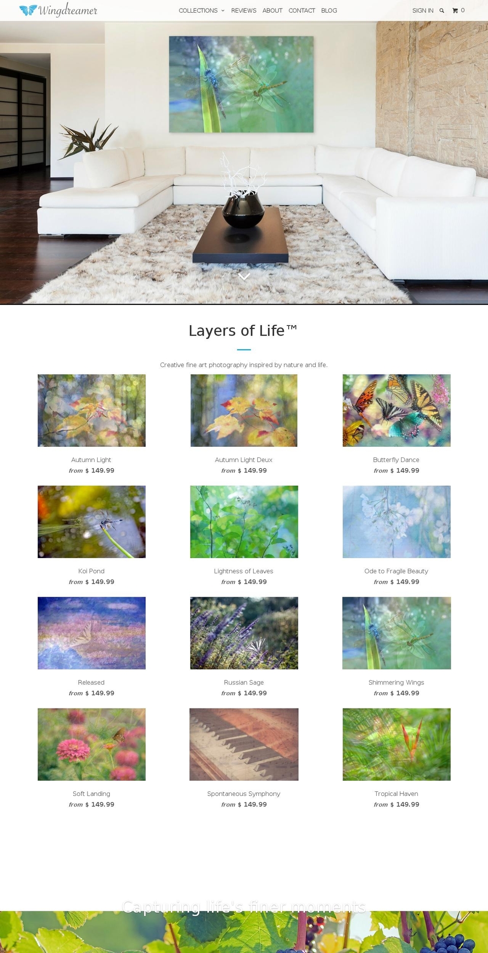 wingdreamer.com shopify website screenshot