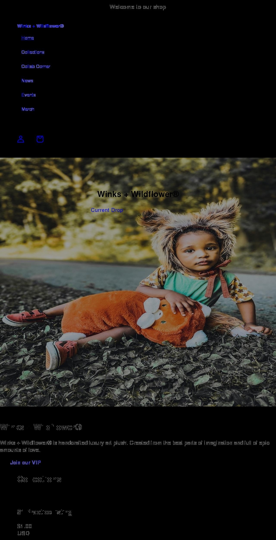 winksandwildflower.com shopify website screenshot