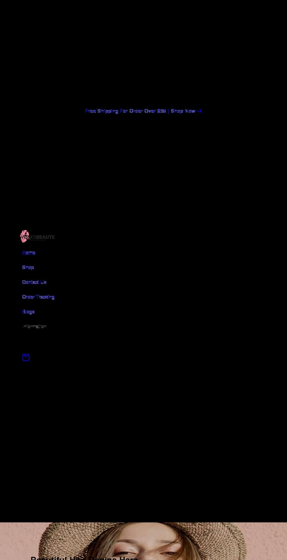 winksbeaute.com shopify website screenshot