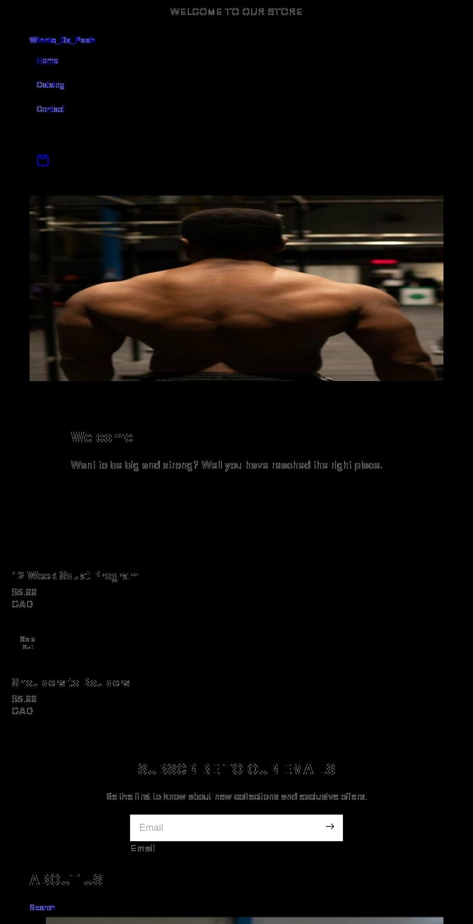 winniedapooh.com shopify website screenshot