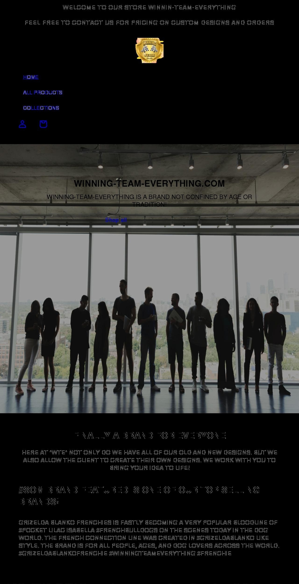 winning-team-everything.com shopify website screenshot