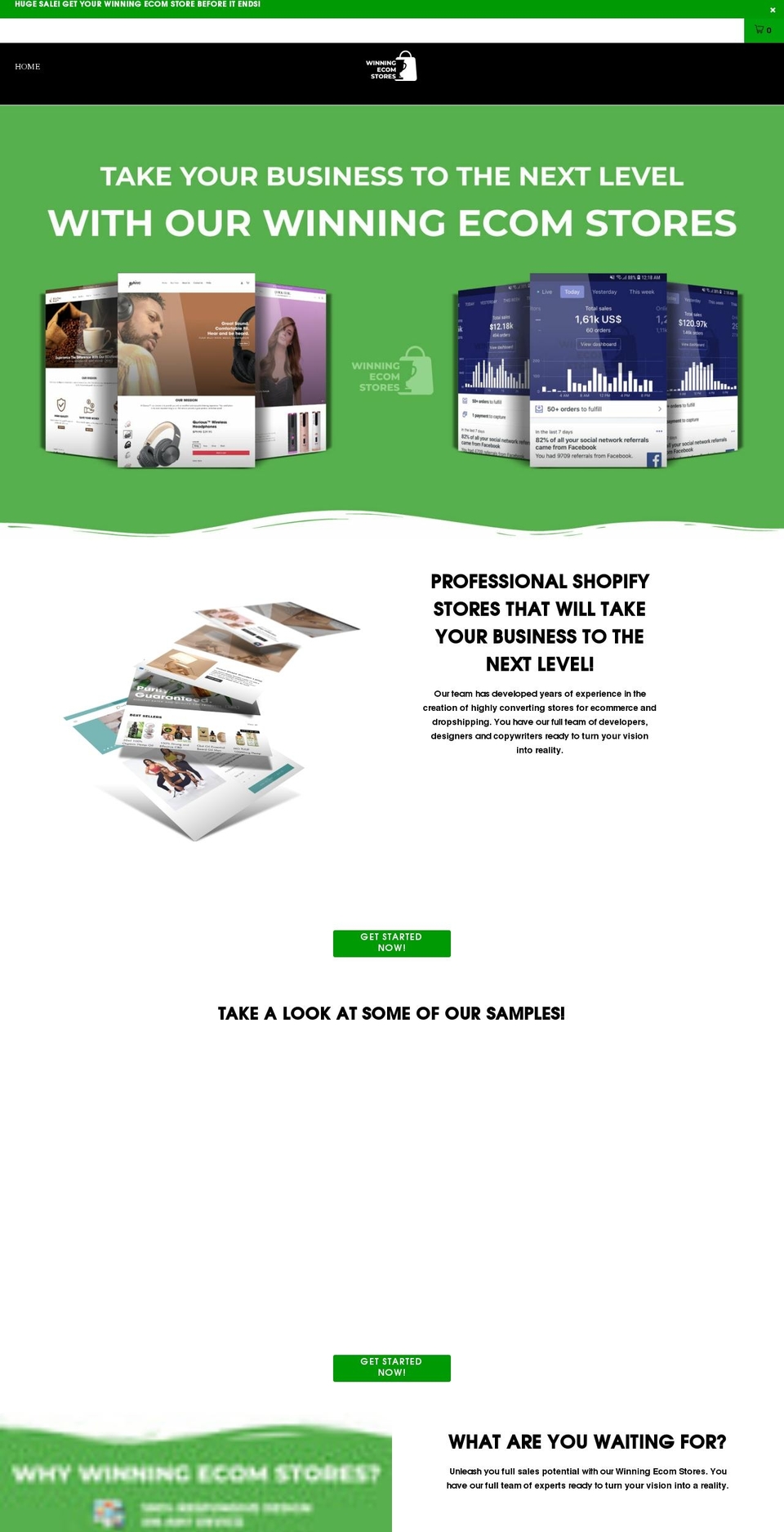 winningecomstores.com shopify website screenshot