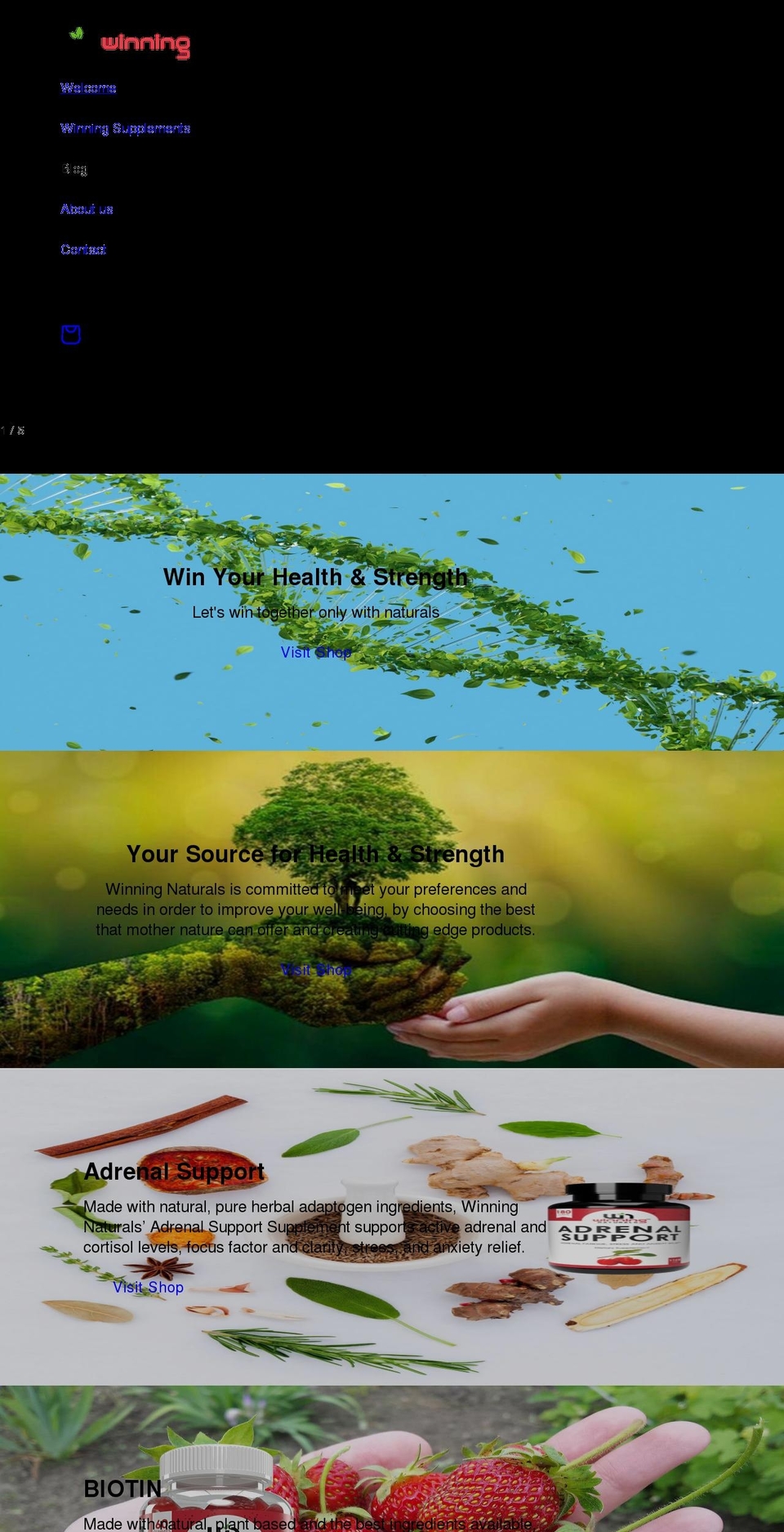 winningnaturals.com shopify website screenshot