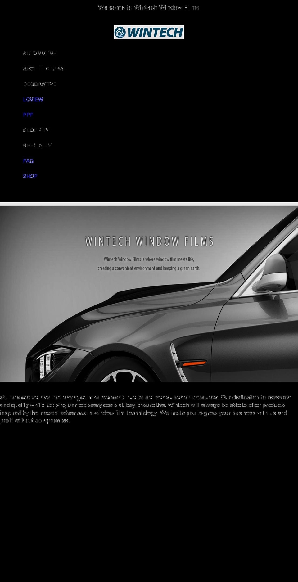 wintechusa.com shopify website screenshot