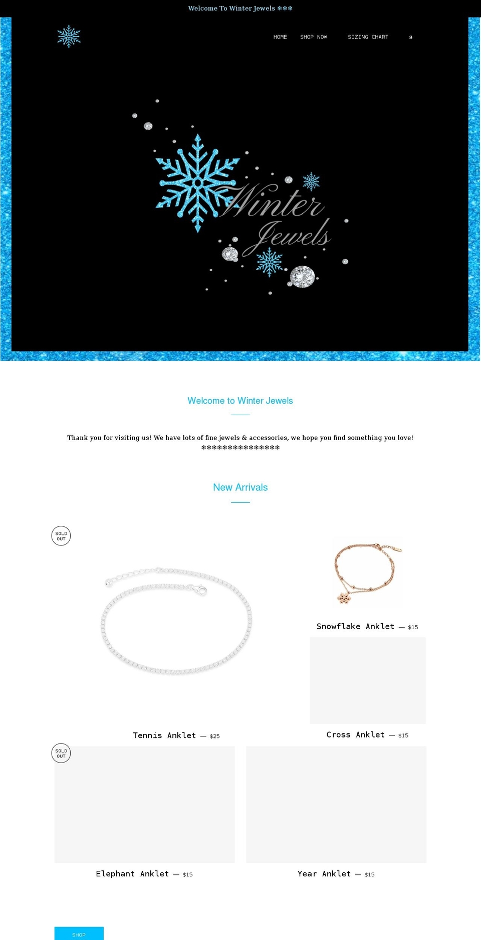 winterjewels.com shopify website screenshot