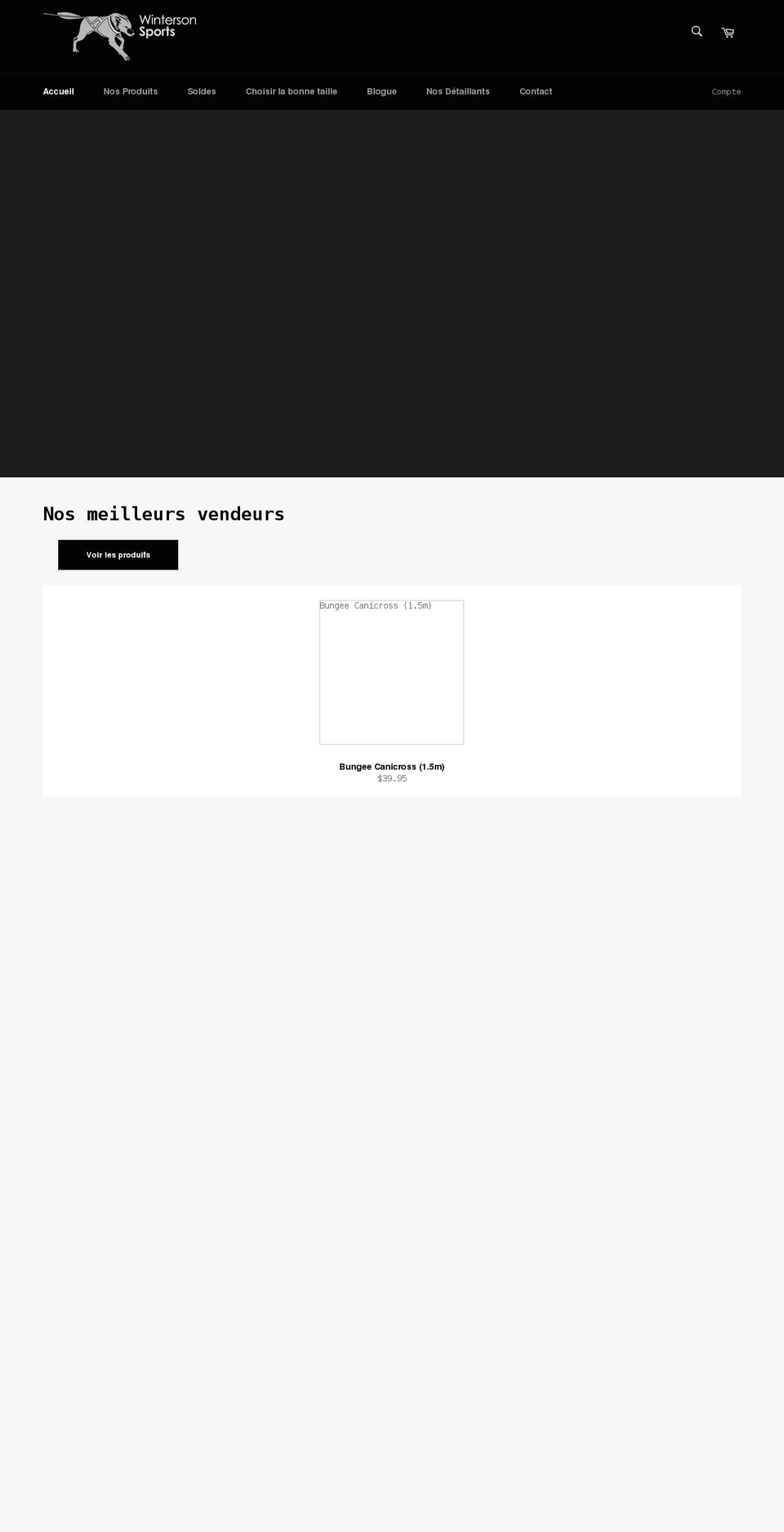 wintersonsports.com shopify website screenshot